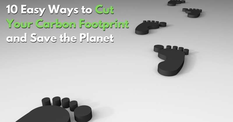 Ways to reduce Your Carbon Footprint