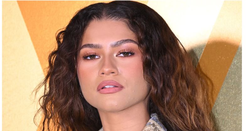 Zendaya's Net Worth 2024