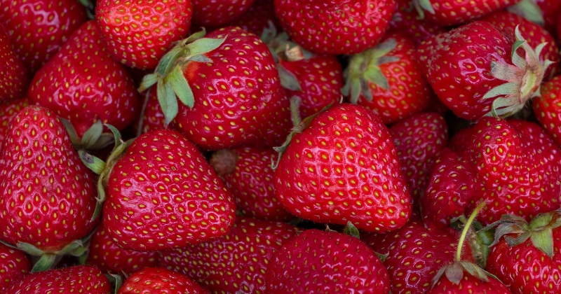 STRAWBERRY NUTRITION FACTS