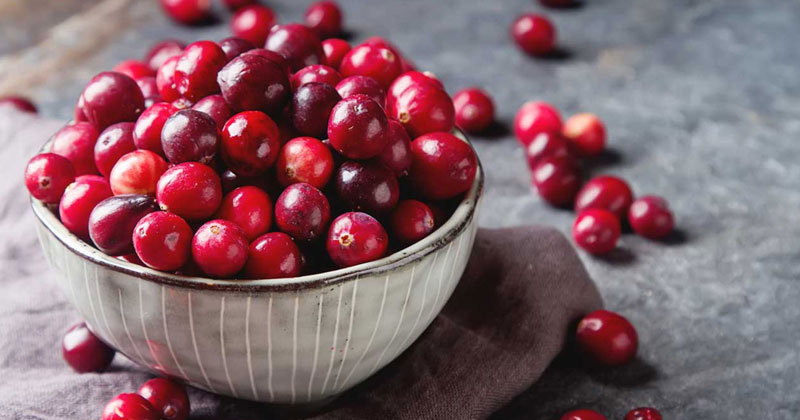 Cranberry Benefits 