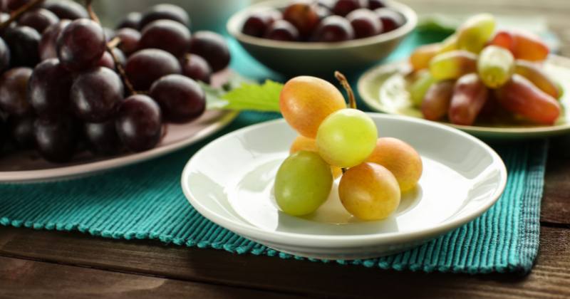The Different Types of Grapes 