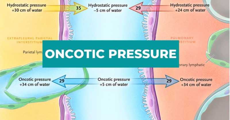 Define Osmotic Pressure: The Invisible Force Decoded