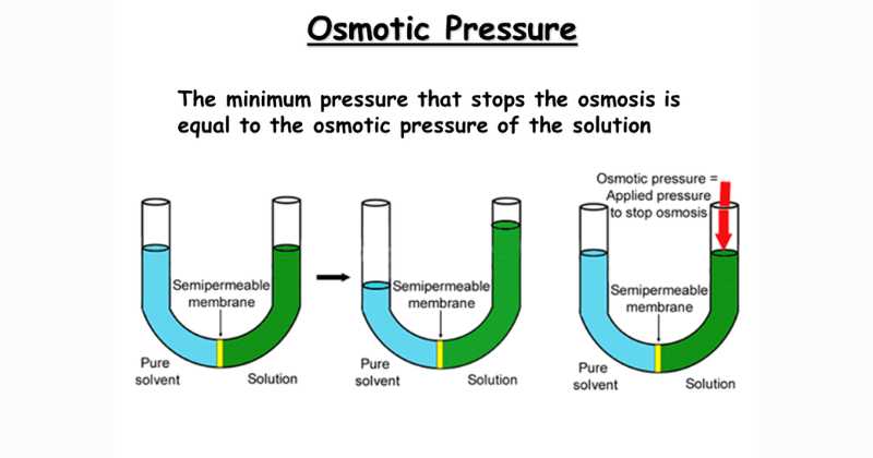 Osmotic Pressure in Action